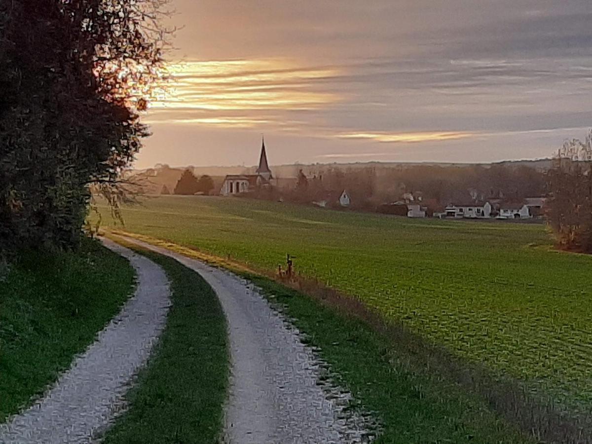 Chatrou Chatelraould-Saint-Louvent Eksteriør billede